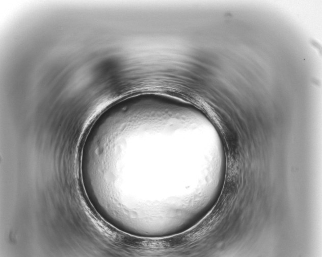 X0000093770795200710301204