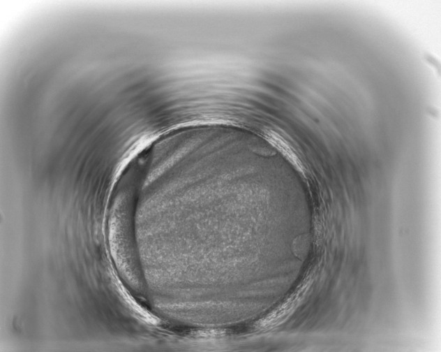 X0000093770797200710301204