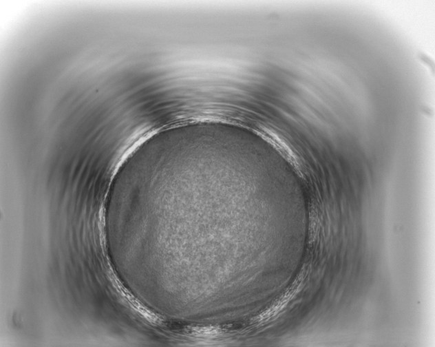 X0000093770798200710301204