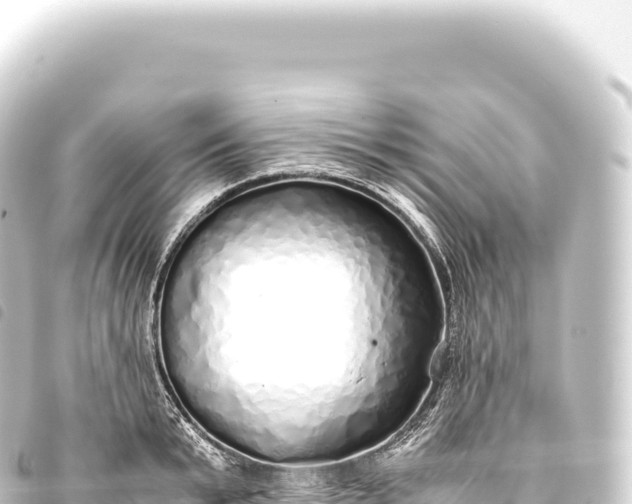 X0000093770799200710301204