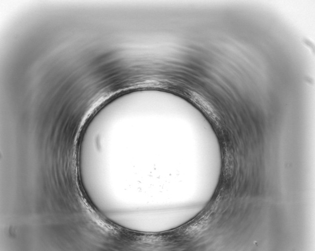 X0000093770800200710301204