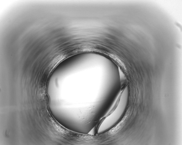 X0000093770801200710301204