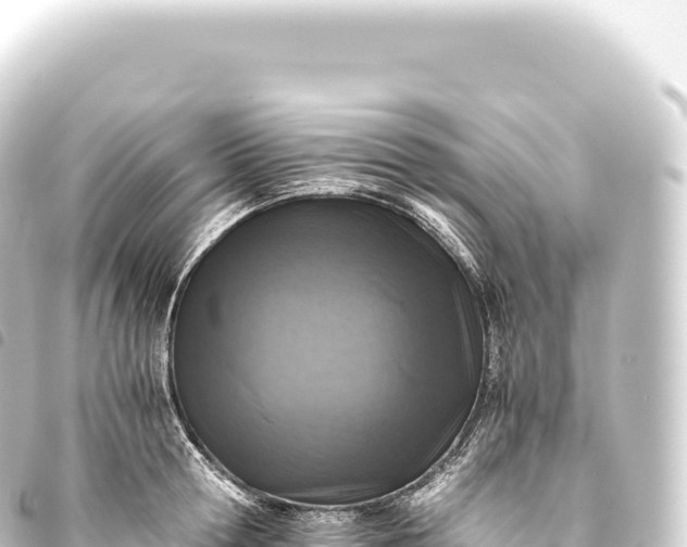 X0000093770802200710301204