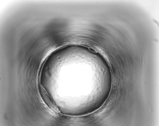 X0000093770803200710301204