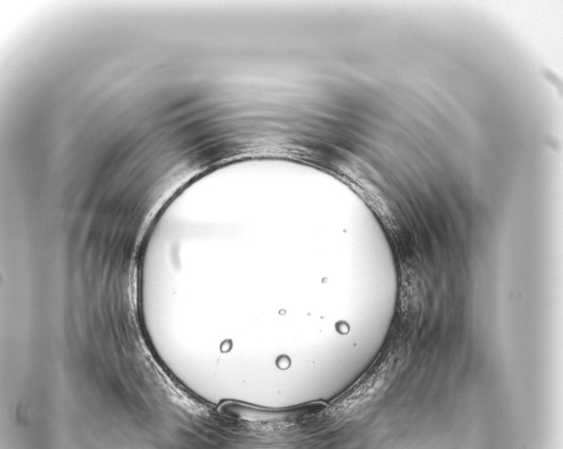 X0000093770804200710301204