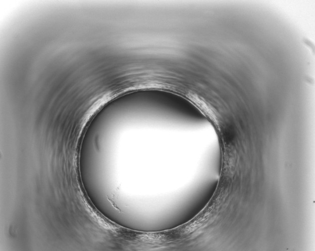 X0000093770805200710301204