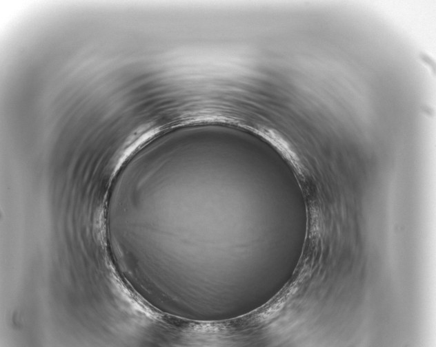 X0000093770806200710301204