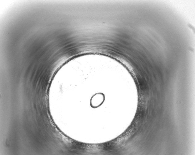 X0000093770807200710301204