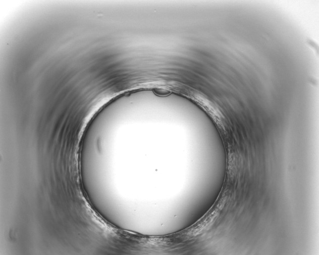 X0000093770808200710301204