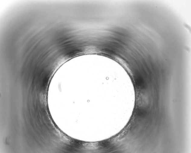 X0000093770810200710301204