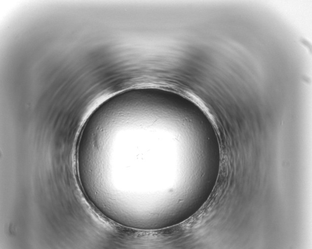 X0000093770811200710301204