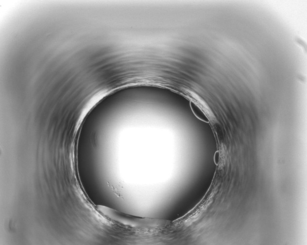 X0000093770812200710301204