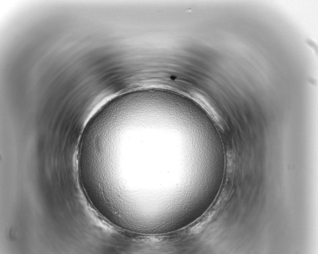 X0000093770814200710301204