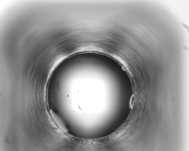 X0000093770815200710301204