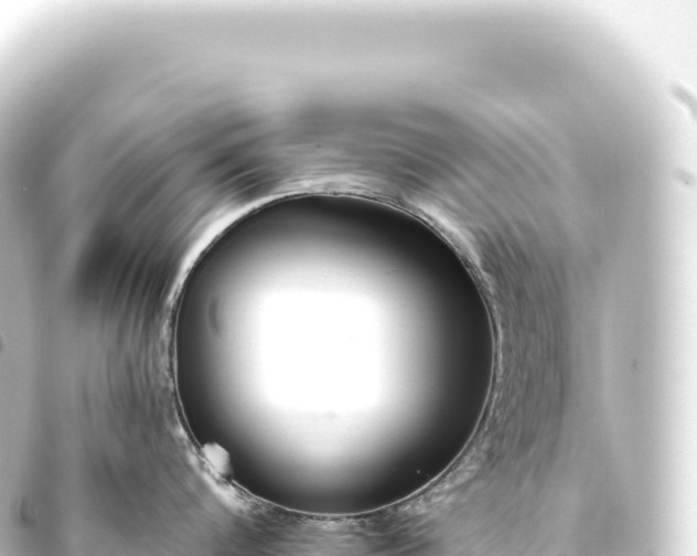 X0000093770816200710301204