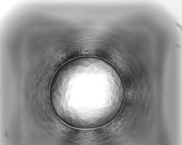 X0000093770817200710301203