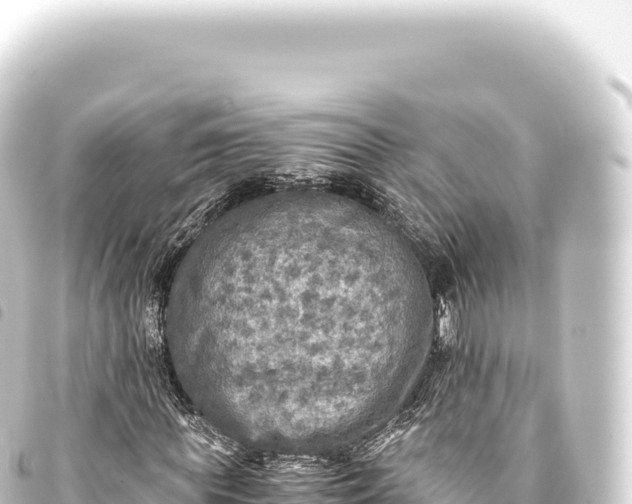 X0000093770819200710301203