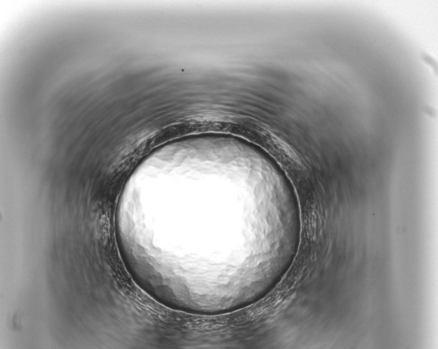 X0000093770821200710301203