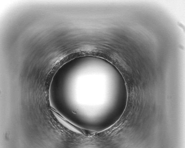 X0000093770822200710301203