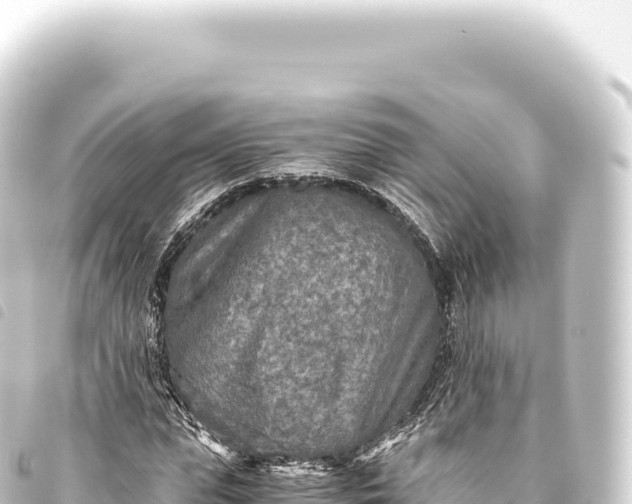 X0000093770823200710301203