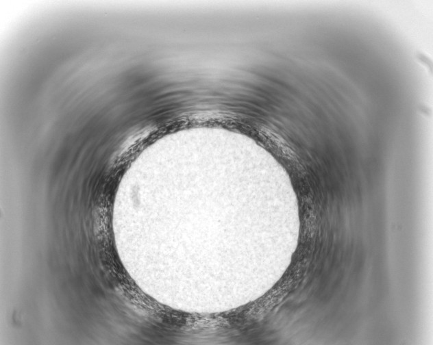 X0000093770824200710301203