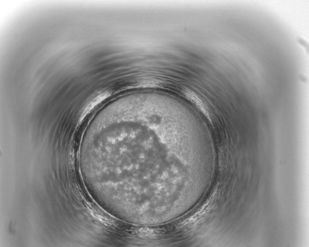 X0000093770827200710301203