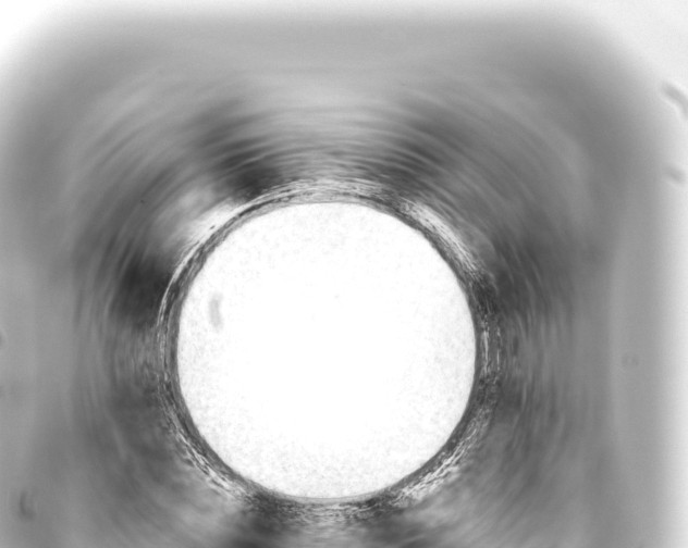 X0000093770828200710301203