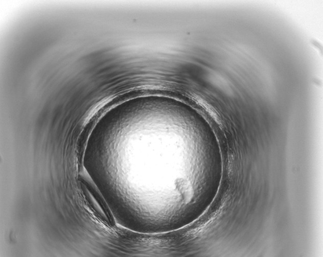 X0000093770829200710301203