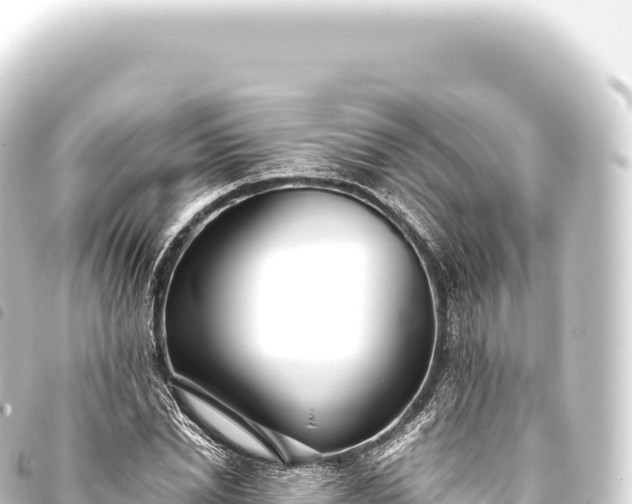 X0000093770830200710301203