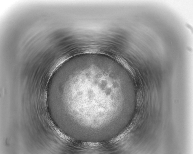 X0000093770831200710301203