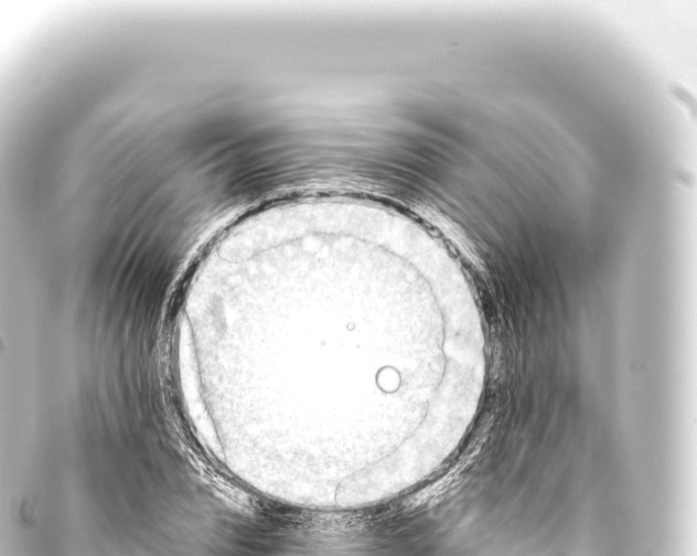 X0000093770832200710301203