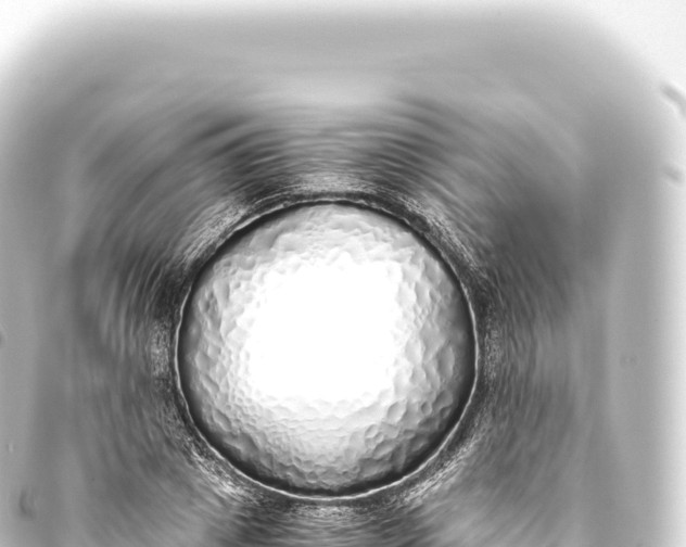 X0000093770833200710301203