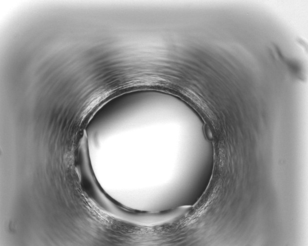 X0000093770834200710301203