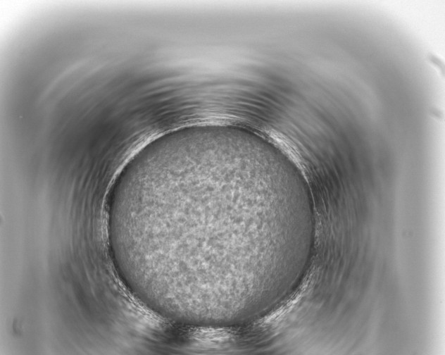 X0000093770835200710301203