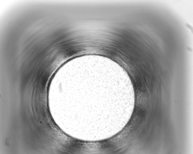 X0000093770836200710301203