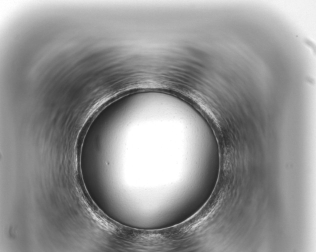 X0000093770837200710301203