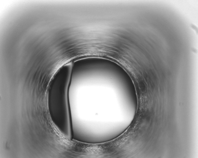 X0000093770838200710301203