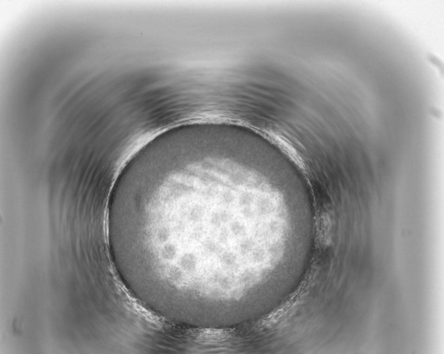 X0000093770839200710301203