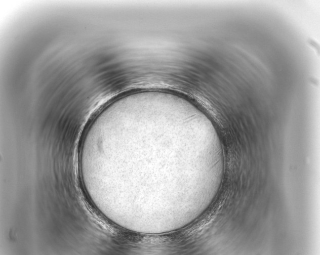 X0000093770840200710301203