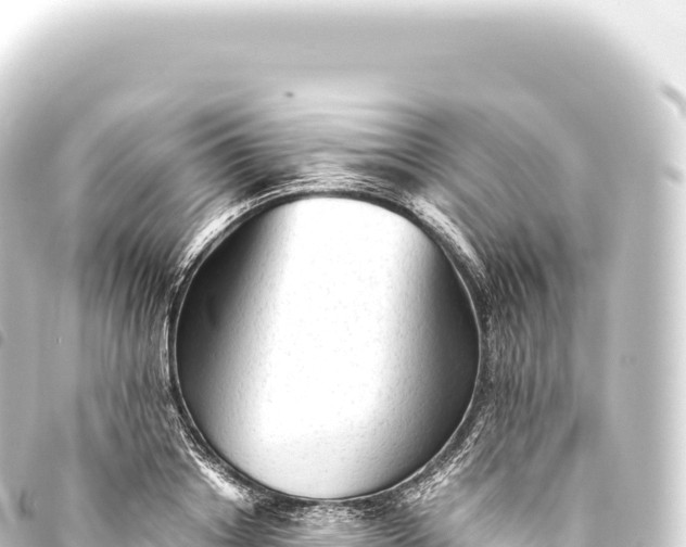 X0000093770842200710301203