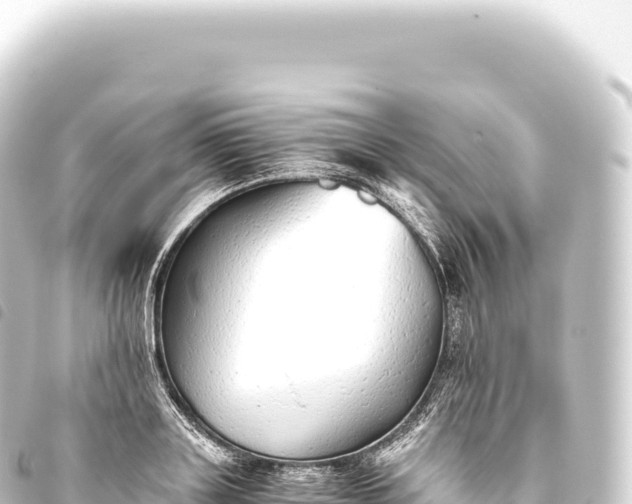 X0000093770843200710301203