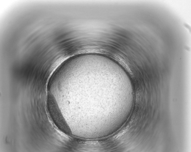 X0000093770844200710301203