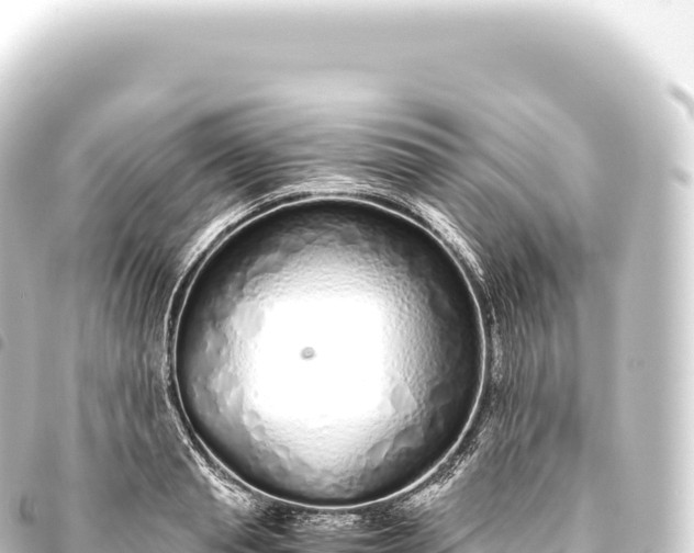 X0000093770845200710301203