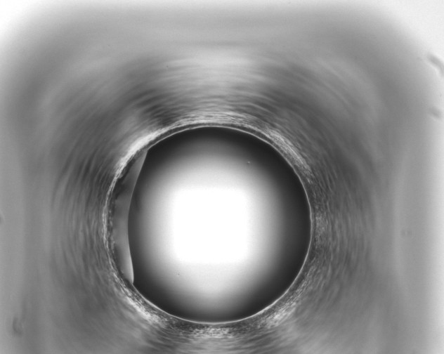 X0000093770846200710301203