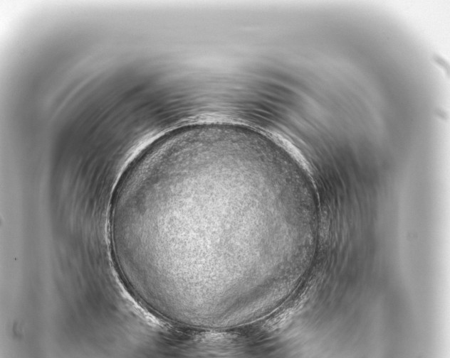 X0000093770847200710301203