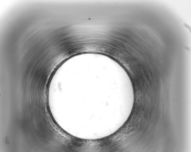 X0000093770848200710301203