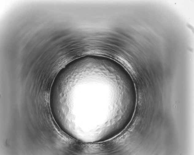 X0000093770849200710301204