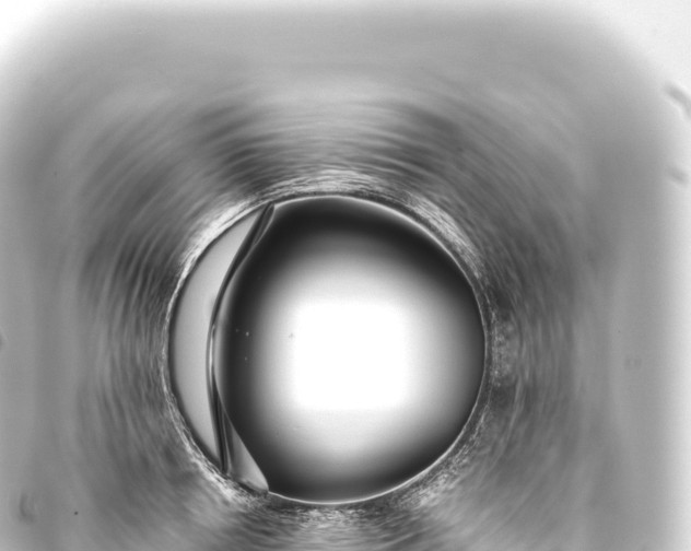 X0000093770850200710301204