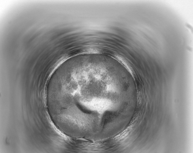 X0000093770851200710301204