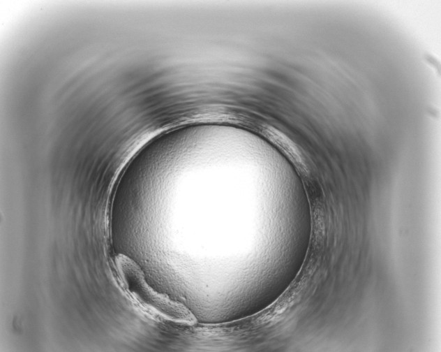 X0000093770852200710301204